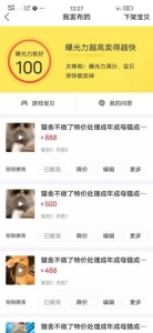 闲鱼引流宠物粉卖阿猫阿狗一单利润1000+，你干不干？插图