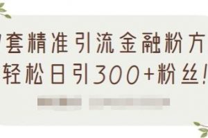 1套精准引流金融粉方法，轻松日引300+粉丝