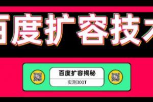 百度扩容最新技术，实测扩容300T，上手即可接单（价值699全套资料）