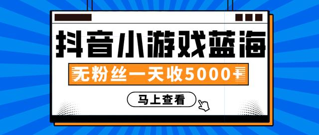 赚钱计划：抖音小游戏蓝海项目，无粉丝一天收入5000+插图