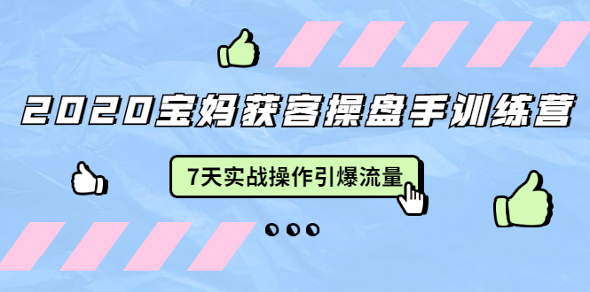 2020宝妈获客操盘手训练营：7天实战操作引爆 母婴、都市、购物宝妈流量插图