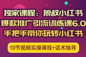 狼叔小红书爆款推广引流训练课6.0，手把手带你玩转小红书