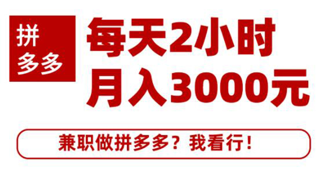 搜外网·拼多多副业课程，每天2小时月入3000元 学习这门课程真的能赚钱插图