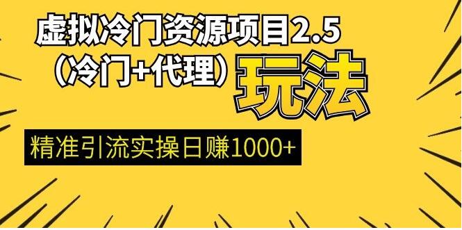 虚拟冷门资源项目（冷门及代理玩法） 精准引流实操日赚1000+(完结)插图