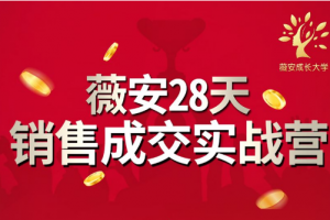 薇安28天销售成交实战营，5分钟成交3万，实现了月入近6位数的营收