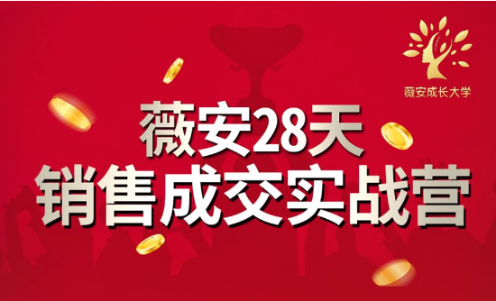 薇安28天销售成交实战营，5分钟成交3万，实现了月入近6位数的营收插图