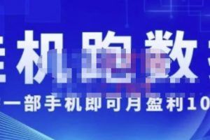 猎人电商:挂机数跑据，只需一部手即机可月盈利10万＋（内玩部法）价值4988元