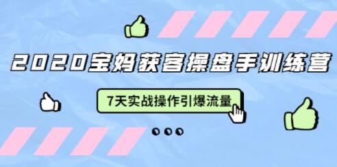 宝妈获客引流技术训练营，7天实战操作引爆流量，培训课程视频讲座