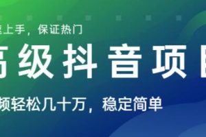 高级抖音项目，视频轻松几十万播放，稳定简单，快速上手，保证热门