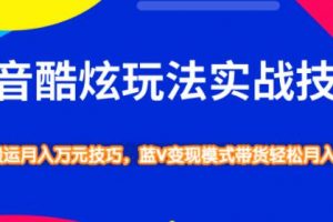 抖音酷炫玩法实战技巧，小白搬运月入万元技巧