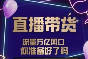 及至专享《抖音直播带货》DY赋能系统星课程