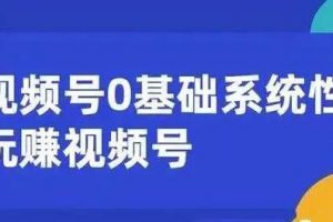 微信视频号运营攻略 (内容运营+引流+快速变现) 0基础玩赚视频号