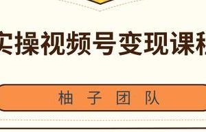 实操微信视频号变现培训课程，助你2021抓住赚钱风口