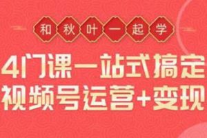 一站式搞定视频号运营变现，从0到1学视频号运营实操培训课程视频