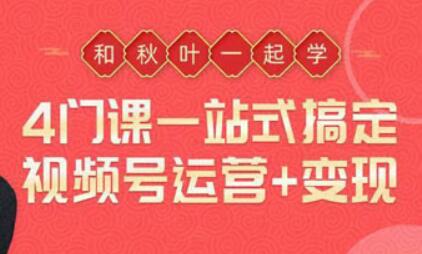 一站式搞定视频号运营，从0到1学视频号运营实操培训课程视频