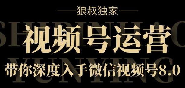 微信视频号运营实战8.0，带你深度入手微信视频号