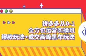 《拼多多从0-1全方位运营实操班》爆款玩法+成交高峰黑车玩法