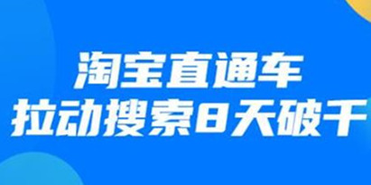 最新淘宝直通车拉动搜索8天破千培训课程视频