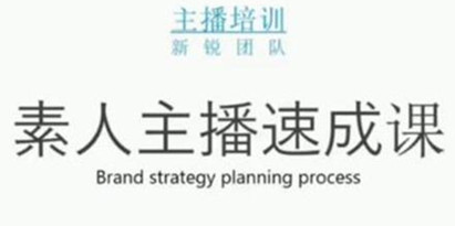 雨婷团队《素人主播培训速成课程》月销千万的直播间脚本手把手教学落地