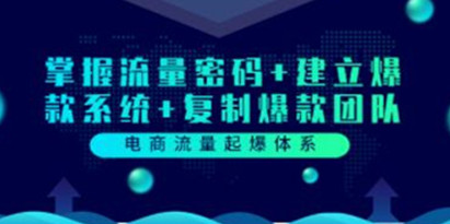 《电商流量起爆体系》掌握流量密码+建立爆款系统+复制爆款团队