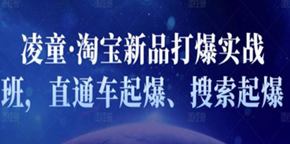 凌童《淘宝新品打爆实战班》直通车起爆、搜索起爆