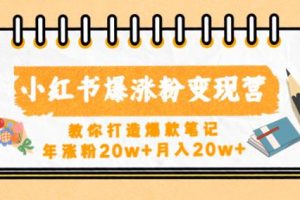 小红书短视频爆涨粉变现营，教你打造爆款笔记，年涨粉20w+月入20w