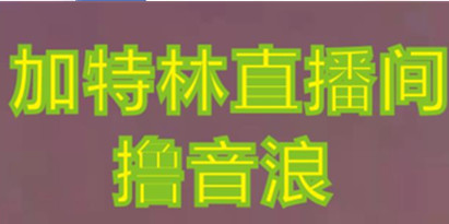 抖音加特林直播间搭建技术教程,0粉开播,每天暴力撸音浪800+