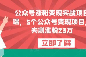 《公众号涨粉变现实战项目教程》5个公众号变现项目，实测涨粉23万