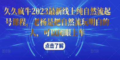 久久疯牛《最新纯自然流起号课程》老杨是把自然流玩明白的人，可以闭眼上车