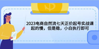 2023电商自然流七天正价起号实战课：起的慢，但是稳，小白执行即可！