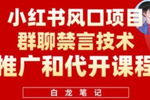 小红书风口项目日入300+，小红书群聊禁言技术代开项目，适合新手操作