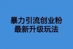 揭秘价值1980一千个野路子暴力引流最新升级玩法