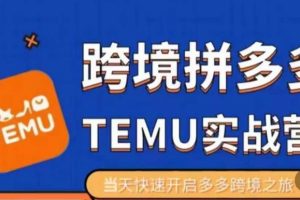 大鹏出海《拼多多跨境temu运营指导》开店注册+选品+核价上架，日出千单实战课