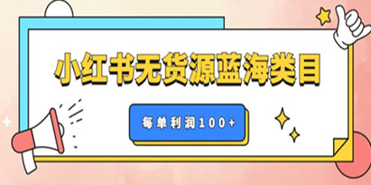 揭秘小红书无货源做蓝海类目【每单利润50-200+】，单月轻松过万