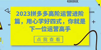 2023拼多多高阶运营进阶篇，用心学好四式，你就是下一位运营高手