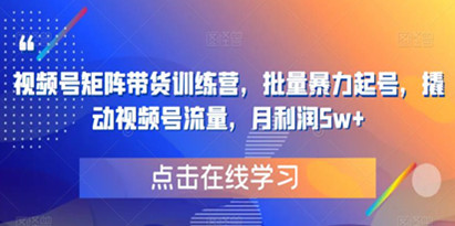 视频号矩阵带货训练营，批量暴力起号，撬动视频号流量，月利润5w+