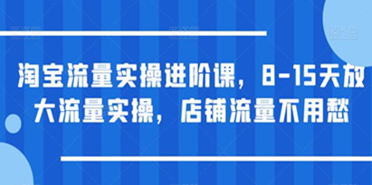 淘宝流量实操进阶课，8-15天放大流量实操，店铺流量不用愁