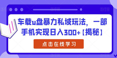 揭秘车载u盘暴力私域玩法，一部手机实现日入300+