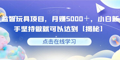 揭秘益智玩具项目，新手坚持做就可以达到月赚5000＋