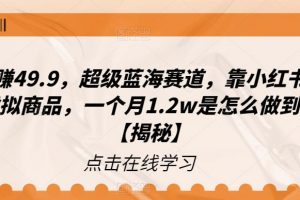 揭秘一单赚49.9，超级蓝海赛道，靠小红书卖这个虚拟商品，一个月1.2w是怎么做到的？