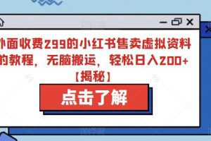 揭秘外面收费299的小红书售卖虚拟资料的教程，无脑搬运，轻松日入200+