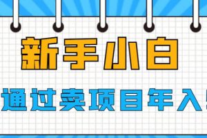 揭秘新手小白如何通过卖项目年入50W