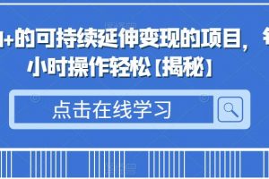 揭秘日入500+的可持续延伸变现的项目，每天2小时操作轻松