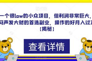 一个很low的小众项目，但利润非常巨大，闷声发大财的首选副业，操作的好月入过万