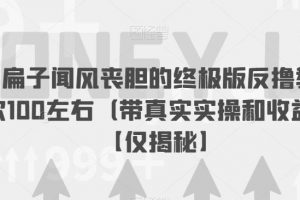 让马扁子闻风丧胆的终极版反撸教程，一次100左右（带真实实操和收益图）