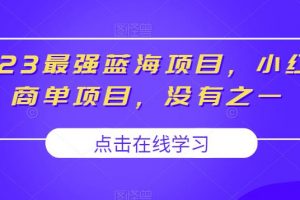 2023最强蓝海项目，小红书商单项目，没有之一