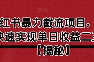 小红书暴力截流项目，新手快速实现单日收益二三百