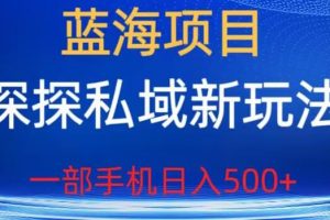 蓝海项目，探探私域新玩法，一部手机日入500+很轻松