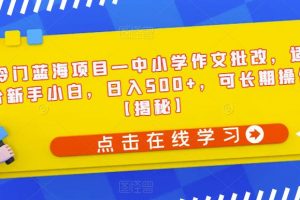 冷门蓝海项目—中小学作文批改，适合新手小白，日入500+，可长期操作