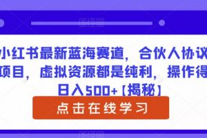 小红书最新蓝海赛道，合伙人协议书项目，虚拟资源都是纯利，操作得当日入500+